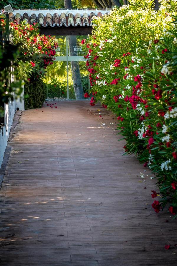 Marbella Banus Suites - Bird Of Paradise Playas Del Duque Banus Suite Apartment מראה חיצוני תמונה